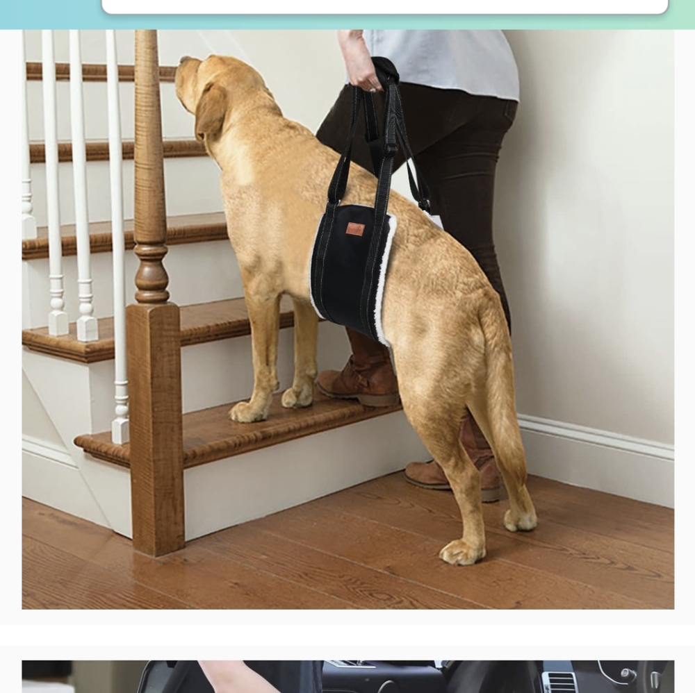 Loobani pet assist sling